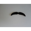 Fake Mustache